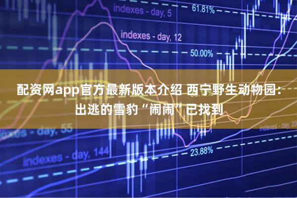 配资网app官方最新版本介绍 西宁野生动物园：出逃的雪豹“闹闹”已找到