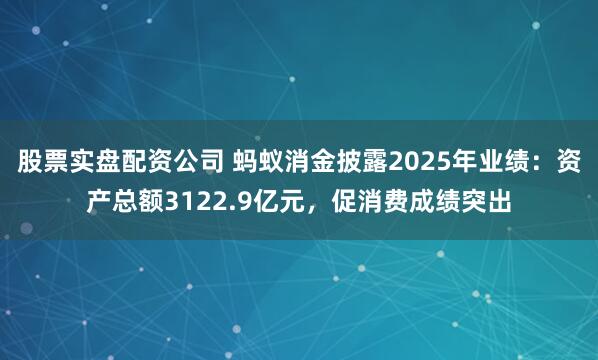 股票实盘配资公司 蚂蚁消金披露2025年业绩：资产总额3122.9亿元，促消费成绩突出